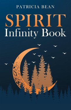 Cover SPIRIT Infinity Book