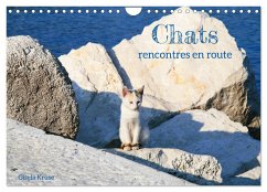 Chats - rencontres en route (Calendrier mural 2024 DIN A4 vertical), CALVENDO calendrier mensuel