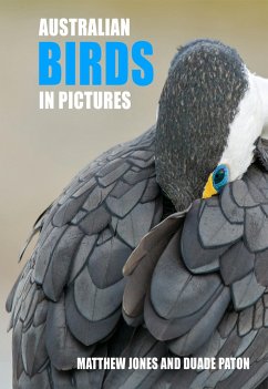 Australian Birds in Pictures - Jones, Matthew; Paton, Duade