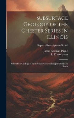 Subsurface Geology of the Chester Series in Illinois - Payne, James Norman