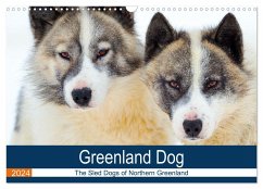 Greenland Dog - The Sled Dogs of Northern Greenland (Wall Calendar 2024 DIN A3 landscape), CALVENDO 12 Month Wall Calendar