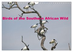 Birds of the Southern African Wild (Wall Calendar 2024 DIN A4 landscape), CALVENDO 12 Month Wall Calendar