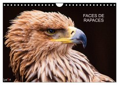 FACES DE RAPACES (Calendrier mural 2024 DIN A4 vertical), CALVENDO calendrier mensuel