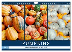 Pumpkins - A blaze of colour in the field (Wall Calendar 2024 DIN A4 landscape), CALVENDO 12 Month Wall Calendar - Frost, Anja