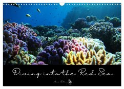 Diving into the Red Sea (Wall Calendar 2024 DIN A3 landscape), CALVENDO 12 Month Wall Calendar