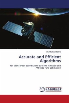 Accurate and Efficient Algorithms - Pal, Dr. Madhumita
