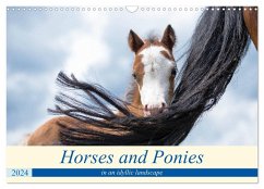 Horses and Ponies in a idyllic landscape (Wall Calendar 2024 DIN A3 landscape), CALVENDO 12 Month Wall Calendar - Wais, Sabine