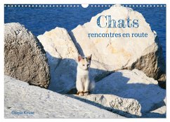 Chats - rencontres en route (Calendrier mural 2024 DIN A3 vertical), CALVENDO calendrier mensuel