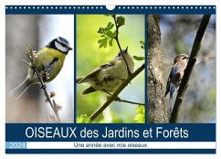 OISEAUX des Jardins et Forêts (Calendrier mural 2024 DIN A3 vertical), CALVENDO calendrier mensuel