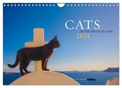 Cats of the Greek Islands (Wall Calendar 2024 DIN A4 landscape), CALVENDO 12 Month Wall Calendar