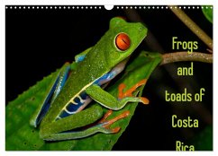 Frogs and toads of Costa Rica / UK-version (Wall Calendar 2024 DIN A3 landscape), CALVENDO 12 Month Wall Calendar