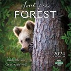 Soul of the Forest 2024 Wall Calendar: Traveling the Globe, Connecting the World