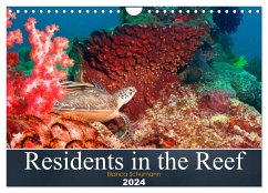 Residents in the Reef (Wall Calendar 2024 DIN A4 landscape), CALVENDO 12 Month Wall Calendar