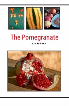 Cover The Pomegranate