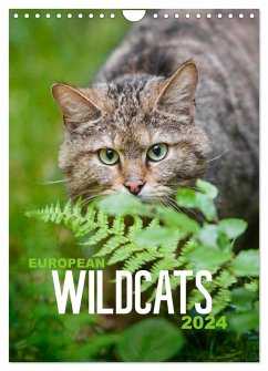 European Wildcats (Wall Calendar 2024 DIN A4 portrait), CALVENDO 12 Month Wall Calendar