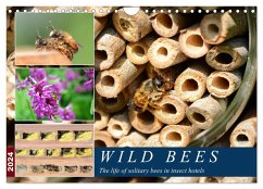 Wild bees - The life of solitary bees in insect hotels (Wall Calendar 2024 DIN A4 landscape), CALVENDO 12 Month Wall Calendar