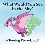 What Would You See in the Sky?: A Tooting Pterodactyl?
