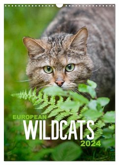 European Wildcats (Wall Calendar 2024 DIN A3 portrait), CALVENDO 12 Month Wall Calendar