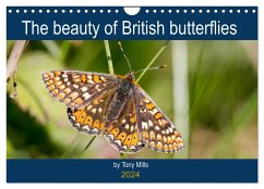 The beauty of British butterflies (Wall Calendar 2024 DIN A4 landscape), CALVENDO 12 Month Wall Calendar