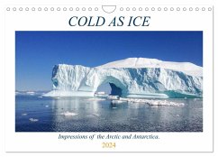 Cold as Ice - Impressions of the Arctic and Antarctica (Wall Calendar 2024 DIN A4 landscape), CALVENDO 12 Month Wall Calendar