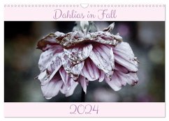 Dahlias in Fall (Wall Calendar 2024 DIN A3 landscape), CALVENDO 12 Month Wall Calendar