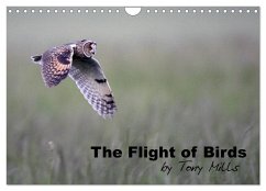 The Flight of Birds (Wall Calendar 2024 DIN A4 landscape), CALVENDO 12 Month Wall Calendar