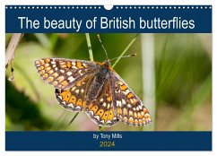 The beauty of British butterflies (Wall Calendar 2024 DIN A3 landscape), CALVENDO 12 Month Wall Calendar