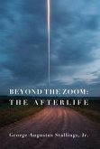 Beyond the Zoom