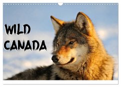 Wild Canada (Wall Calendar 2024 DIN A3 landscape), CALVENDO 12 Month Wall Calendar