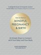 How to Have a Mindful Pregnancy and... - Bild 1