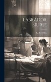 Labrador Nurse