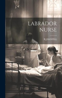 Labrador Nurse - Bjbanfill, Bjbanfill