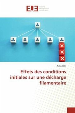 Effets des conditions initiales sur une décharge filamentaire - Flitti, Aicha