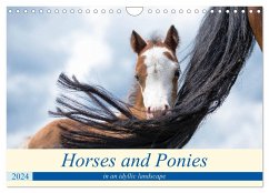 Horses and Ponies in a idyllic landscape (Wall Calendar 2024 DIN A4 landscape), CALVENDO 12 Month Wall Calendar