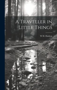 A Traveller in Little Things - Hudson, W H