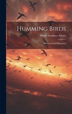 Humming Birds: Described and Illustrated - Adams, Henry Gardiner