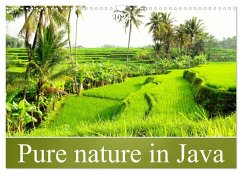 Pure nature in Java (Wall Calendar 2024 DIN A3 landscape), CALVENDO 12 Month Wall Calendar
