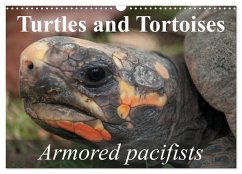 Turtles and Tortoises - Armored pacifists (Wall Calendar 2024 DIN A3 landscape), CALVENDO 12 Month Wall Calendar