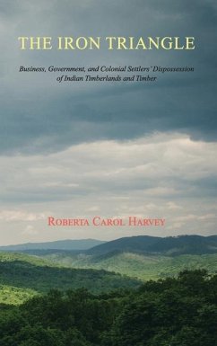 The Iron Triangle - Harvey, Roberta Carol