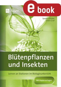 Blütenpflanzen und Insekten (eBook, PDF) - Graf, Erwin; Schüler, Sandra