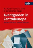 Avantgarden in Zentraleuropa (eBook, ePUB)