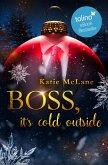 Boss, it's cold outside (eBook, ePUB)