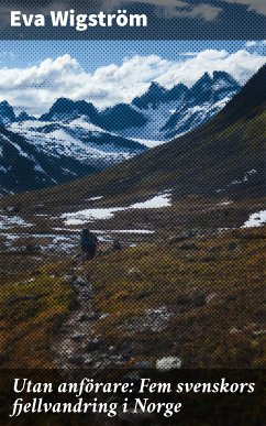 Utan anförare: Fem svenskors fjellvandring i Norge (eBook, ePUB) - Wigström, Eva