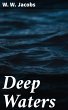 Deep Waters (eBook, ePUB) - Bild 1