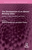 The Development of an African Working Class (eBook, ePUB)