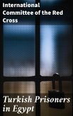 Turkish Prisoners in Egypt (eBook, ePUB)