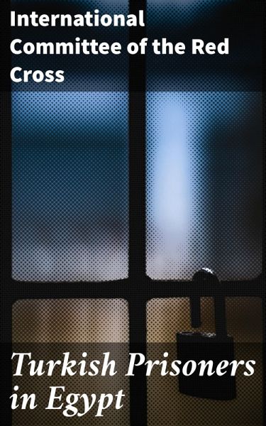 Turkish Prisoners in Egypt (eBook, ePUB)