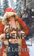 Jingle Bear - Bild 1