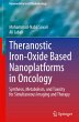 Theranostic Iron-Oxide Based... - Bild 1