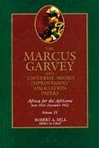 The Marcus Garvey and Universal Negro Improvement Association Papers, Vol. IX (eBook, ePUB)